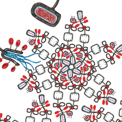 Digital konstruiertes Muster aus Elementen der Botanischen Szenen (Folge 52–56)