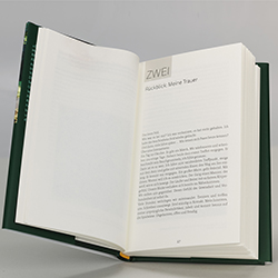 Buchinnenseiten, D. Nahler, DAS LEERE FELD